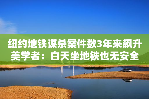 纽约地铁谋杀案件数3年来飙升美学者：白天坐地铁也无安全保障