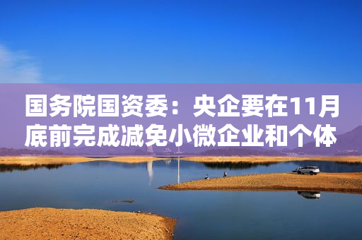 国务院国资委：央企要在11月底前完成减免小微企业和个体工商户房屋3个月租金工作