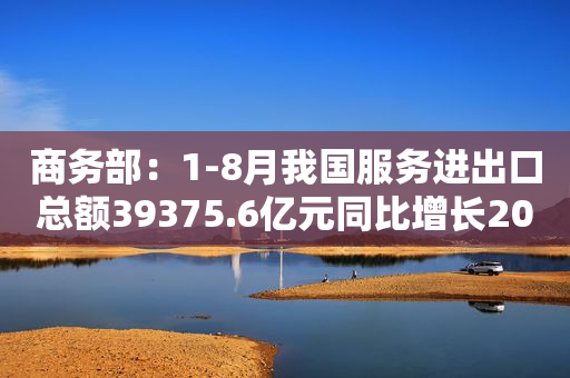 商务部：1-8月我国服务进出口总额39375.6亿元同比增长20.4%