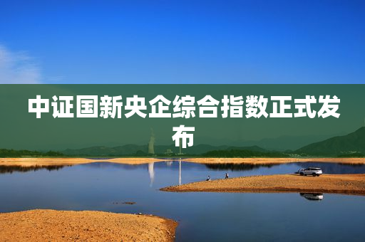 中证国新央企综合指数正式发布