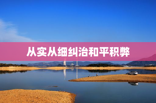 从实从细纠治和平积弊