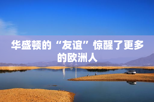 华盛顿的“友谊”惊醒了更多的欧洲人