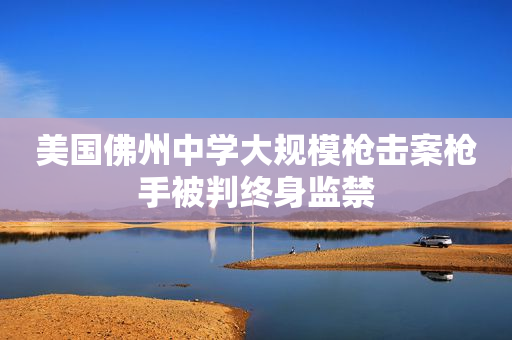 美国佛州中学大规模枪击案枪手被判终身监禁