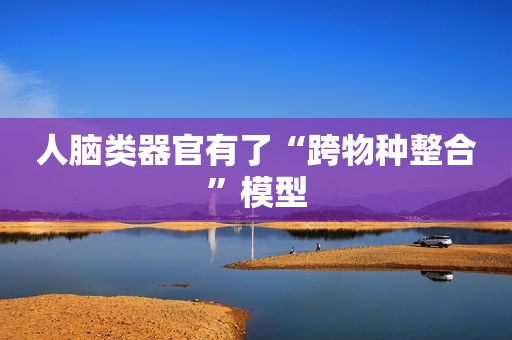人脑类器官有了“跨物种整合”模型