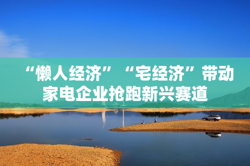 “懒人经济”“宅经济”带动 家电企业抢跑新兴赛道