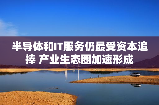 半导体和IT服务仍最受资本追捧 产业生态圈加速形成