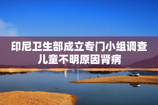 印尼卫生部成立专门小组调查儿童不明原因肾病