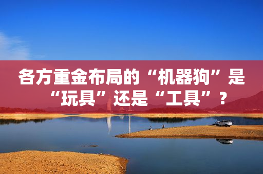 各方重金布局的“机器狗”是“玩具”还是“工具”？
