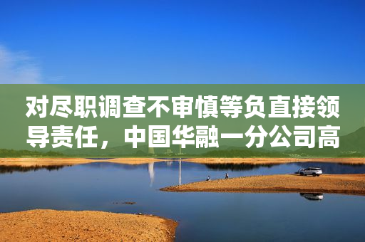 对尽职调查不审慎等负直接领导责任，中国华融一分公司高管被罚