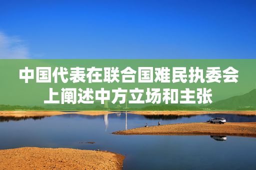 中国代表在联合国难民执委会上阐述中方立场和主张