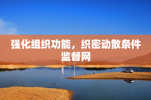 强化组织功能，织密动散条件监督网