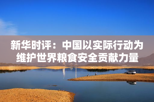 新华时评：中国以实际行动为维护世界粮食安全贡献力量