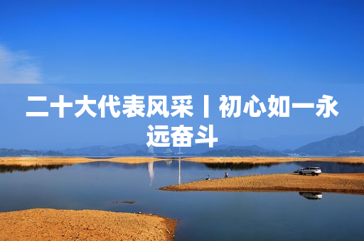 二十大代表风采丨初心如一永远奋斗