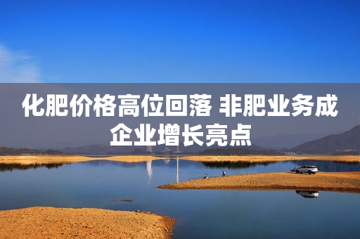 化肥价格高位回落 非肥业务成企业增长亮点