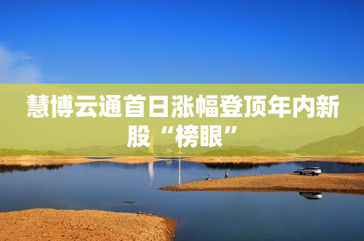慧博云通首日涨幅登顶年内新股“榜眼”