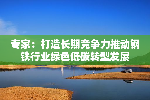 专家：打造长期竞争力推动钢铁行业绿色低碳转型发展