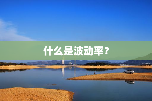 什么是波动率？