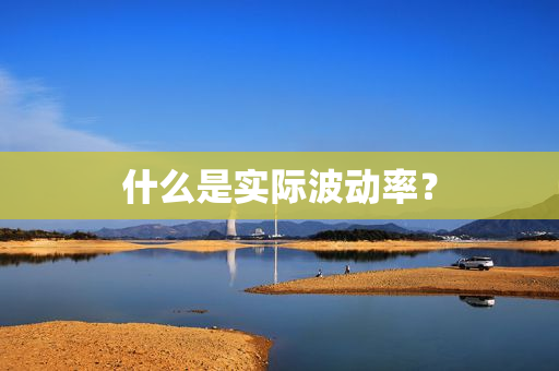 什么是实际波动率？