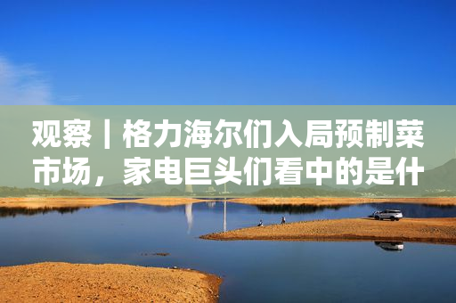 观察｜格力海尔们入局预制菜市场，家电巨头们看中的是什么