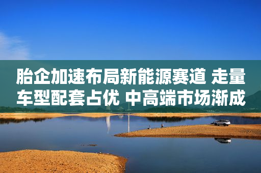 胎企加速布局新能源赛道 走量车型配套占优 中高端市场渐成气候
