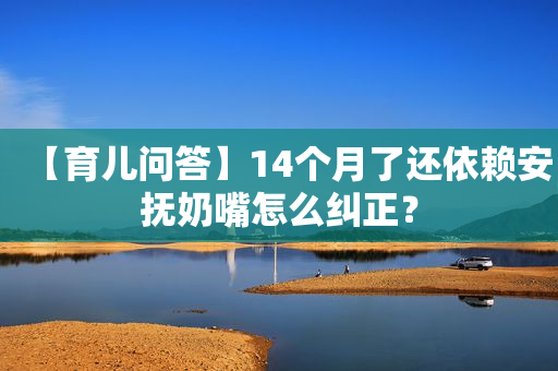 【育儿问答】14个月了还依赖安抚奶嘴怎么纠正？