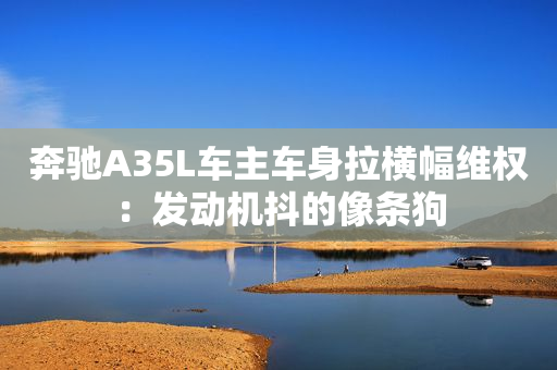 奔驰A35L车主车身拉横幅维权：发动机抖的像条狗