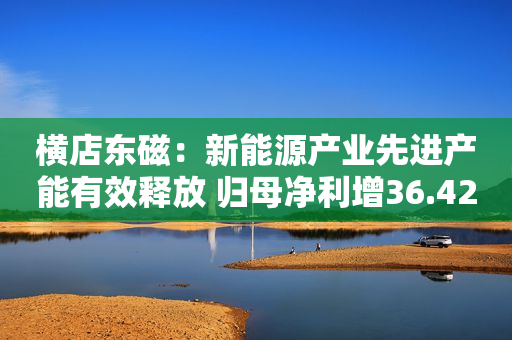 横店东磁：新能源产业先进产能有效释放 归母净利增36.42%