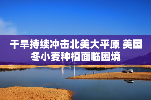 干旱持续冲击北美大平原 美国冬小麦种植面临困境