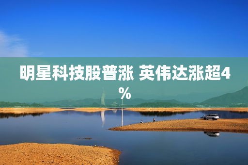 明星科技股普涨 英伟达涨超4%