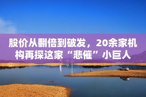 股价从翻倍到破发，20余家机构再探这家“悲催”小巨人