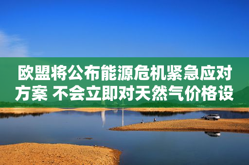 欧盟将公布能源危机紧急应对方案 不会立即对天然气价格设定上限