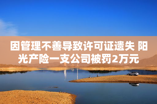 因管理不善导致许可证遗失 阳光产险一支公司被罚2万元