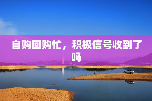 自购回购忙，积极信号收到了吗