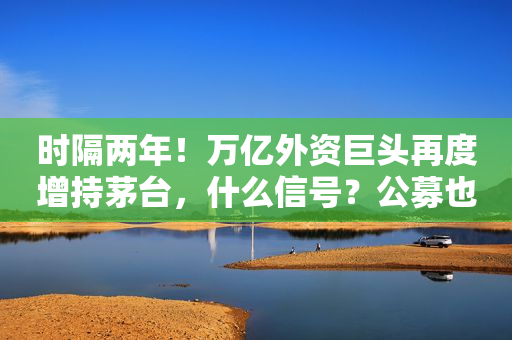 时隔两年！万亿外资巨头再度增持茅台，什么信号？公募也在加仓