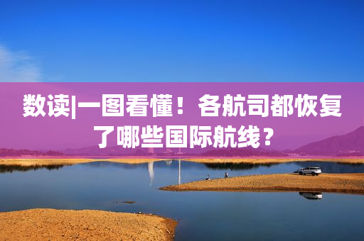数读|一图看懂！各航司都恢复了哪些国际航线？