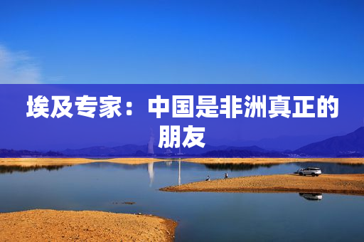 埃及专家：中国是非洲真正的朋友