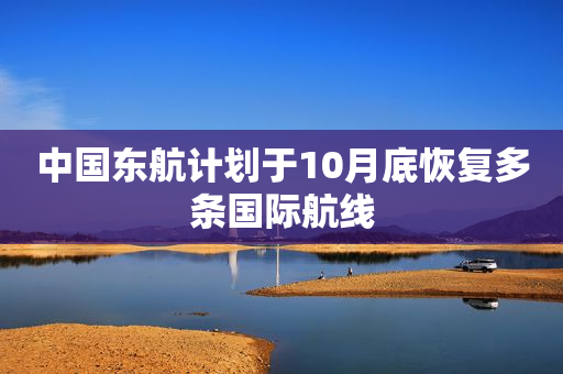 中国东航计划于10月底恢复多条国际航线
