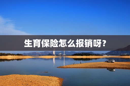 生育保险怎么报销呀？