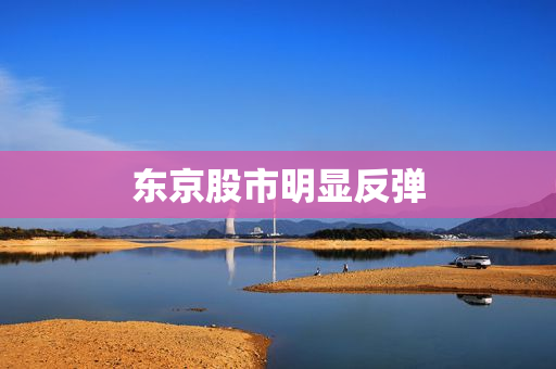 东京股市明显反弹