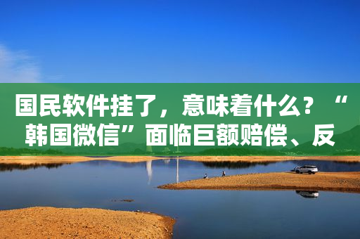 国民软件挂了，意味着什么？“韩国微信”面临巨额赔偿、反垄断和安全调查