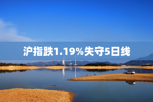 沪指跌1.19%失守5日线
