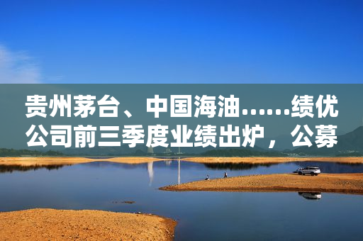 贵州茅台、中国海油……绩优公司前三季度业绩出炉，公募基金已布局