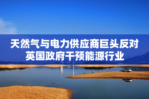 天然气与电力供应商巨头反对英国政府干预能源行业
