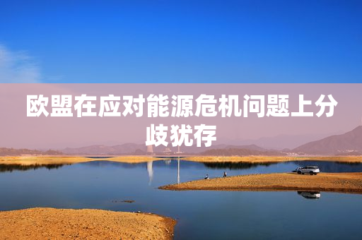 欧盟在应对能源危机问题上分歧犹存