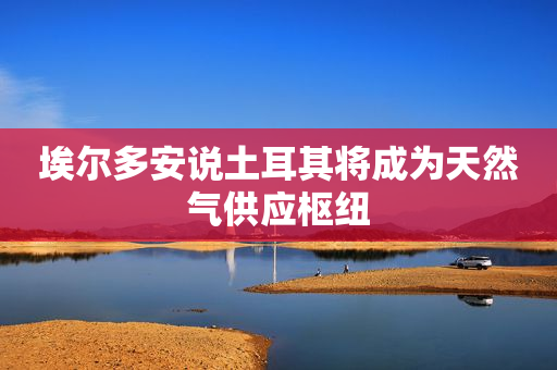 埃尔多安说土耳其将成为天然气供应枢纽