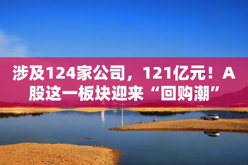 涉及124家公司，121亿元！A股这一板块迎来“回购潮”