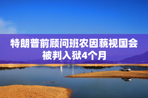 特朗普前顾问班农因藐视国会被判入狱4个月