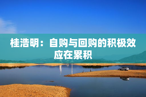 桂浩明：自购与回购的积极效应在累积