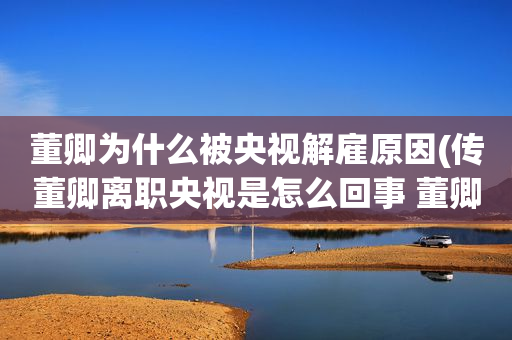 董卿为什么被央视解雇原因(传董卿离职央视是怎么回事 董卿离开央视是真的吗)
