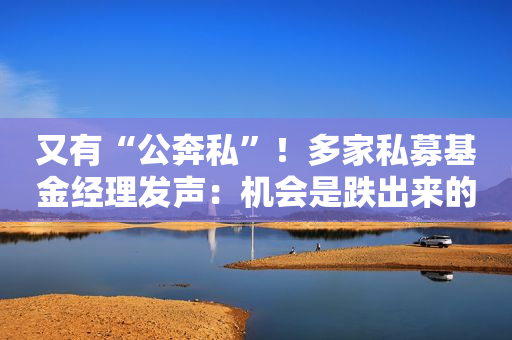 又有“公奔私”！多家私募基金经理发声：机会是跌出来的！